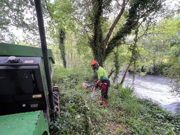 Imagen de la noticia:La Xunta realiza labores de conservación en ocho tramos fluviales que suman cerca de 20 kilómetros en los ayuntamientos de R...