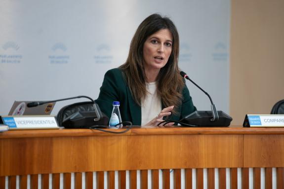 Imaxe da nova:A Xunta capturou máis de 40.000 raíñas de vespa velutina en niños primarios mediante o trampeo e xa colocou máis da metade das 20.0...