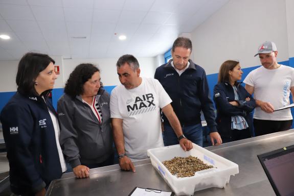 Imagen de la noticia:Mar contribuye a la recuperación y conservación de los hábitats marinos de la Cofradía de Carreira y Aguiño con el sembrado ...
