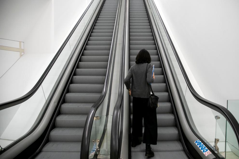 Imaxe 1 de 1 asociada á nova