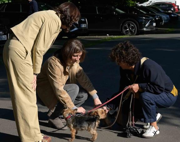 Imagen de la noticia:Ángeles Vázquez anima a la ciudadanía gallega a adoptar animales de compañía abandonados recurriendo a las ayudas que ofrece...