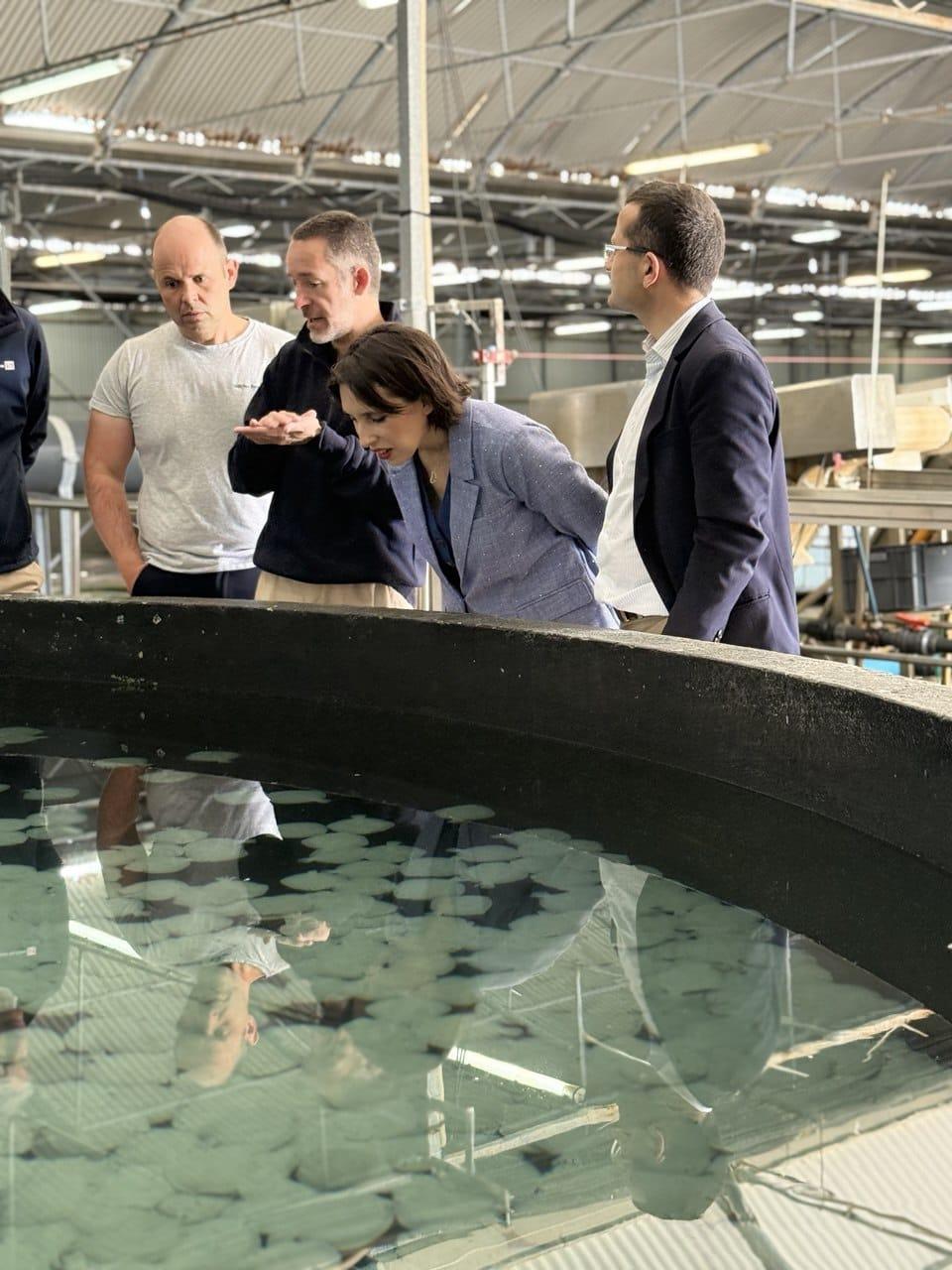 Imagen 6 de 6 asociada a la noticia