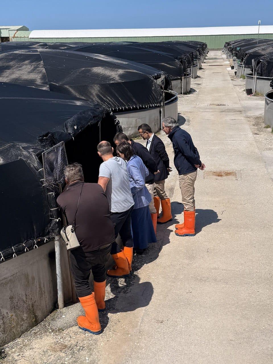 Imagen 4 de 6 asociada a la noticia