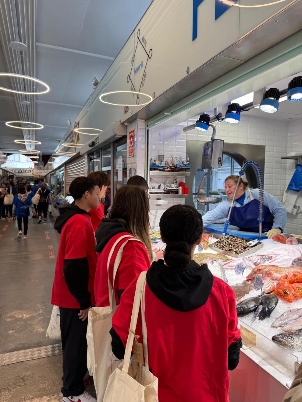 Imagen 3 de 4 asociada a la noticia