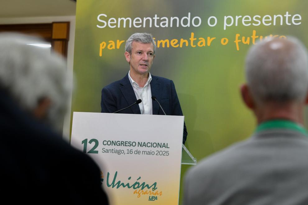 Imaxe 3 de 7 asociada á nova