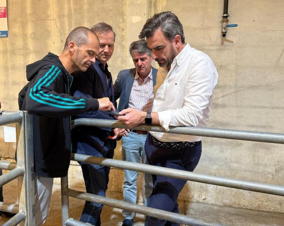 Imaxe da nova:A Xunta garante o normal funcionamento da poxa da recría no mercado de Silleda e anima os gandeiros a levar os seus animais á feira...