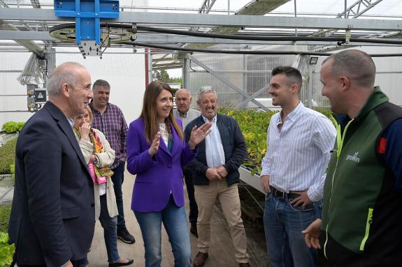 Imaxe da nova:Medio Rural aposta pola innovación no sector forestal e por unha xestión sostible e equilibrada do monte