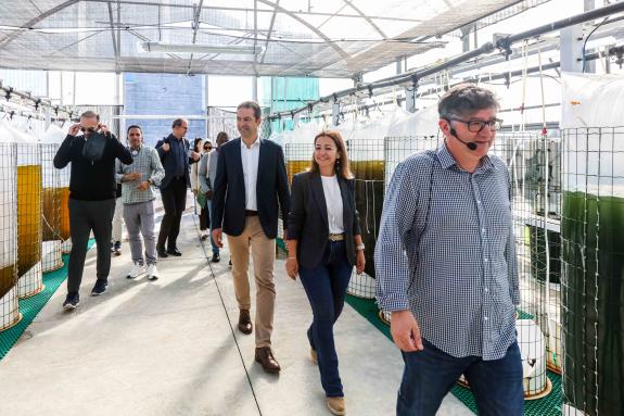 Imaxe da nova:Villares expón a varias delegacións internacionais de acuicultura o esforzo inversor da Xunta pola formación neste eido