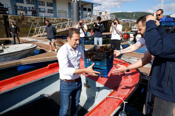 Imaxe da nova:A Xunta favorece a repoboación do ourizo na Ría de Ferrol coa semente en dous anos de 20.000 unidades