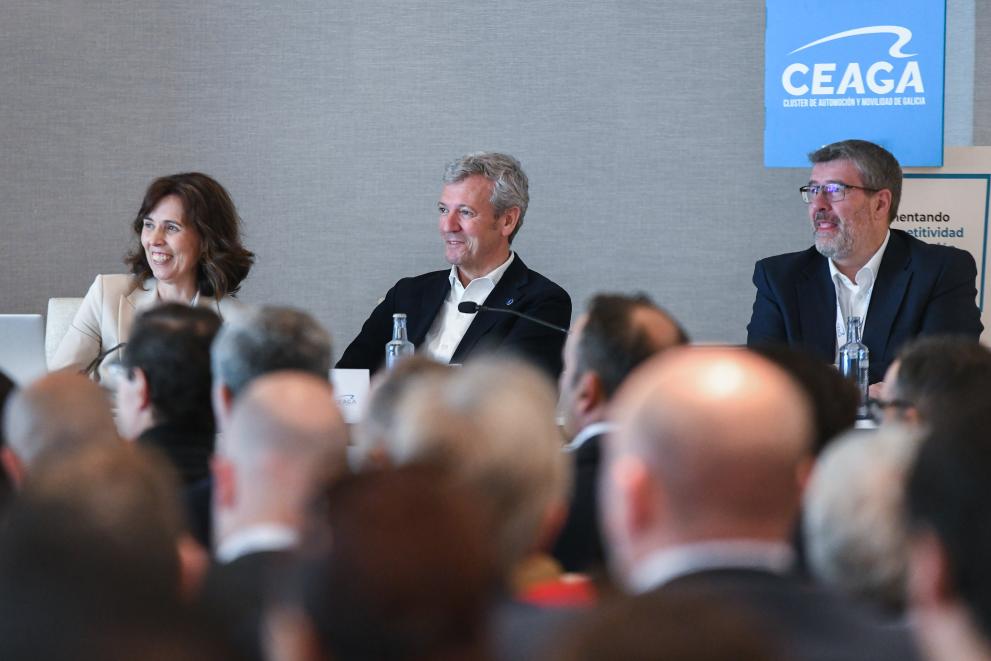 Imaxe 7 de 9 asociada á nova