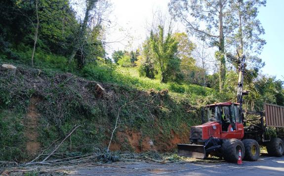 Imagen de la noticia:La Xunta iniciará la próxima semana los trabajos de limpieza en los márgenes de tres carreteras autonómicas a su paso por la...