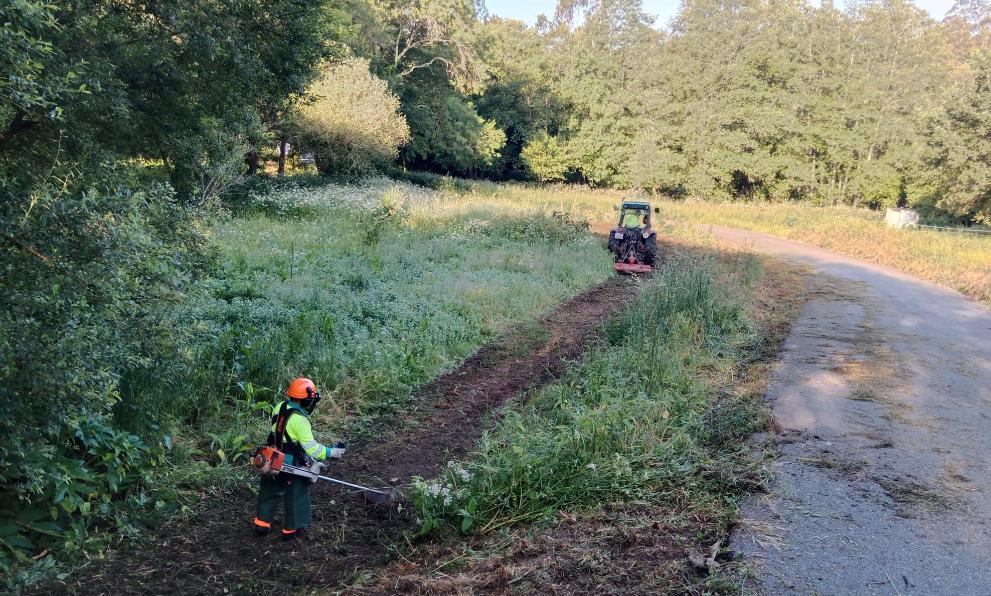 Imagen 1 de 1 asociada a la noticia