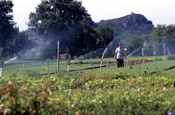 Imagen de la noticia:Rueda destaca que la Xunta destina 36 M€ para seguir ahondando en la incorporación de jóvenes al campo y la mejora de las ex...