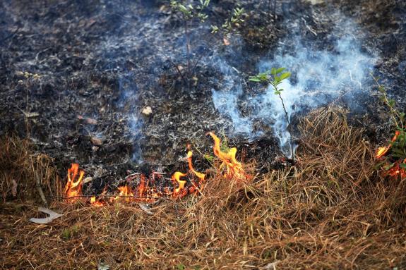 Imaxe da nova:A Xunta prohibe desde mañá martes as queimas agrícolas e forestais de particulares ata novo aviso