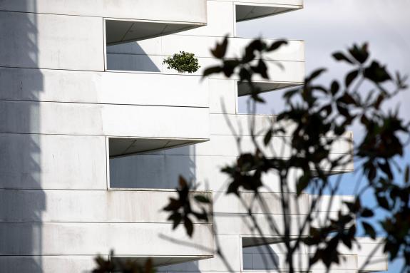 Imaxe da nova:A Xunta avanza na adxudicación das obras de construción de 146 vivendas de promoción pública en Garabolos, en Lugo, cun investiment...