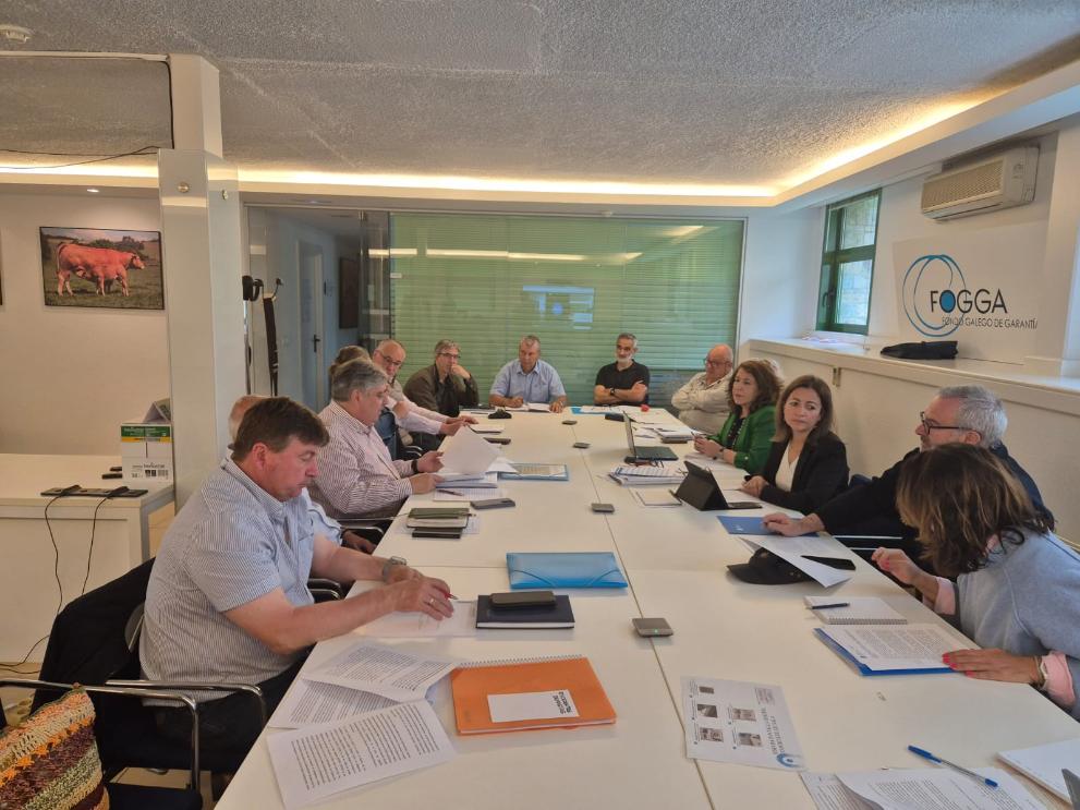 Imaxe 1 de 2 asociada á nova