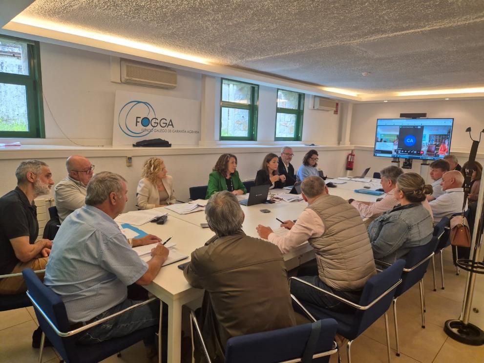 Imaxe 2 de 2 asociada á nova