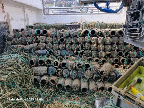 Imaxe da nova:Gardacostas de Galicia incauta 6.000 cacharros e nasas de polbo desde o inicio da veda desta especie que ten como finalidade a recu...