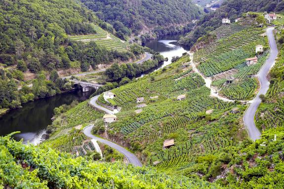 Imaxe da nova:A Xunta fomenta o turismo enogastronómico coa concesión de axudas a 56 proxectos por 5,5M€