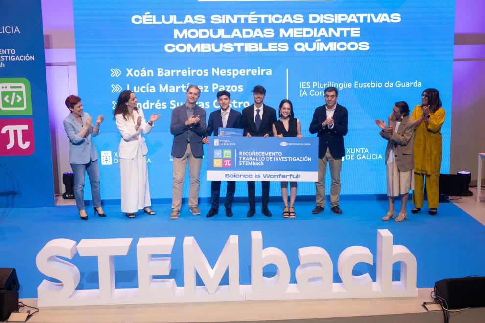 Imaxe 7 de 7 asociada á nova