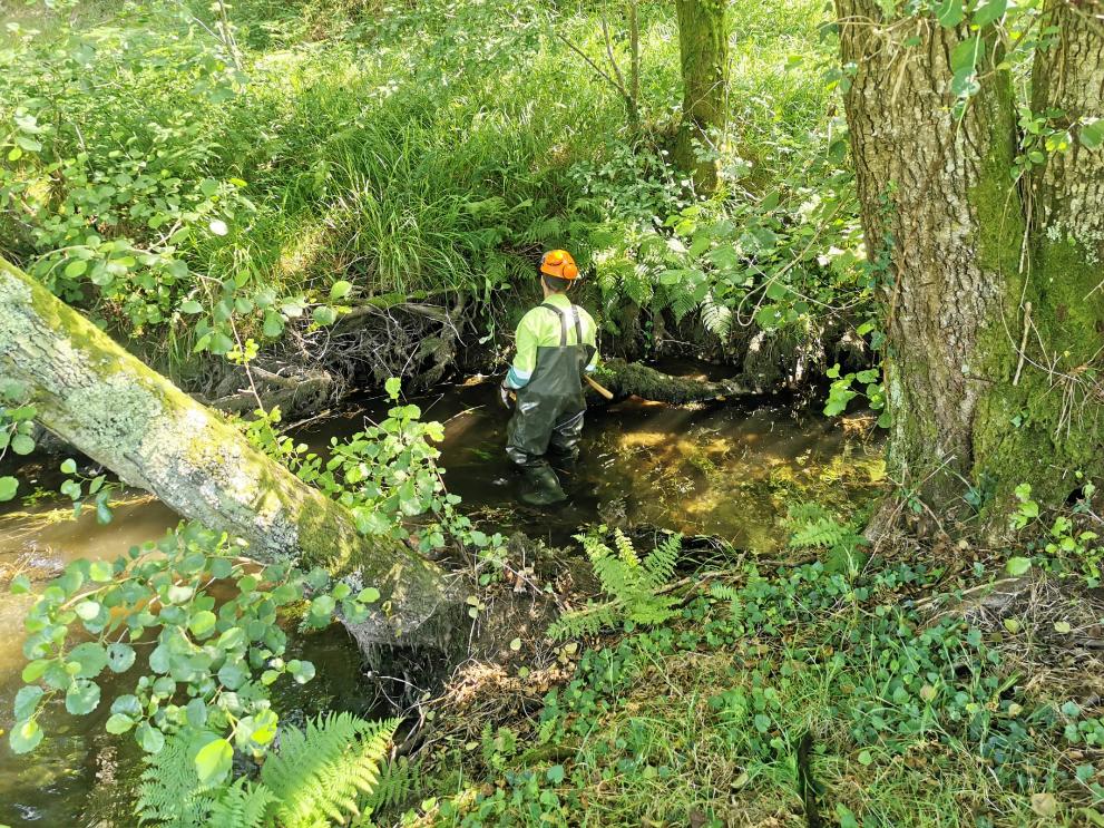 Imagen 1 de 1 asociada a la noticia