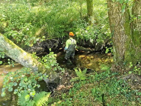 Imaxe da nova:A Xunta realiza labores de conservación en varios tramos fluviais que suman máis de 10 quilómetros no Concello de Valga