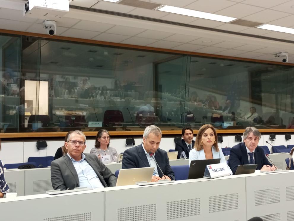 Imaxe 3 de 4 asociada á nova