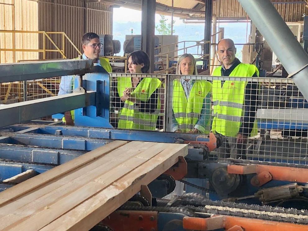 Imagen 3 de 4 asociada a la noticia