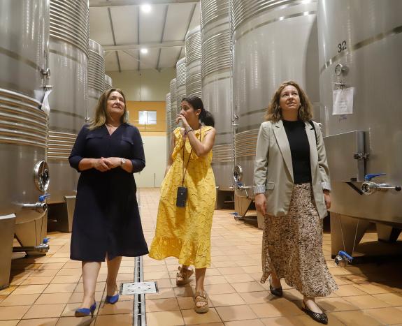 Imaxe da nova:A Xunta concede axudas a empresas de Salvaterra de Miño por preto de 300.000 euros para fomentar os destinos enogastronómicos