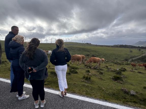 Imagen de la noticia:La Xunta destina 36 M€ para la incorporación de la juventud al campo y la mejora de sus explotaciones