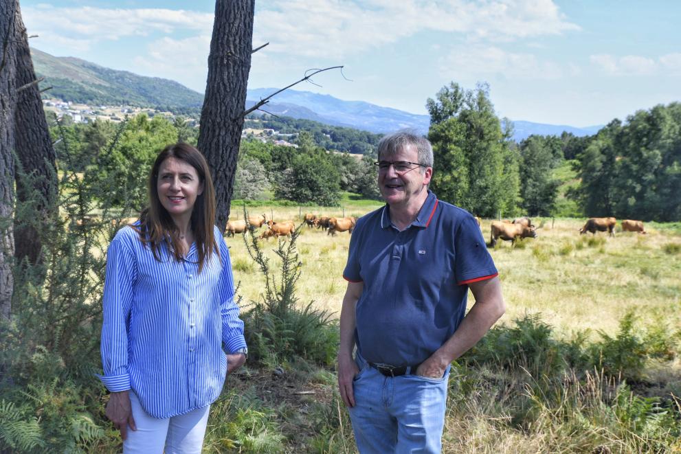 Imagen 3 de 3 asociada a la noticia