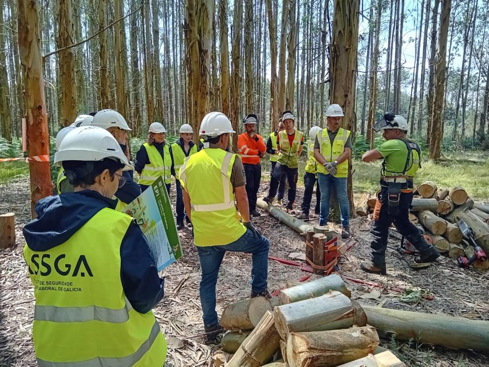 Imaxe 3 de 3 asociada á nova