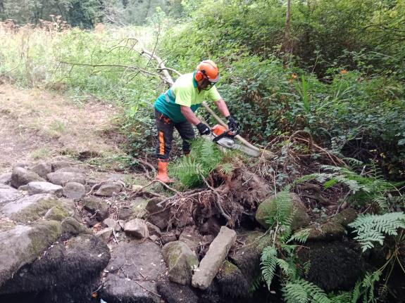 Imaxe da nova:A Xunta realiza labores de conservación nun tramo fluvial de preto de 5 quilómetros no río Tomeza, nos concellos de Pontevedra e Vi...