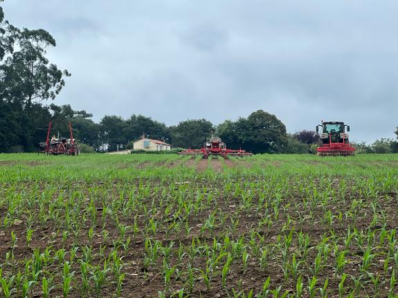 Imaxe da nova:Medio Rural afonda no emprego de fitosanitarios no cultivo de millo cunha xornada formativa en Arzúa