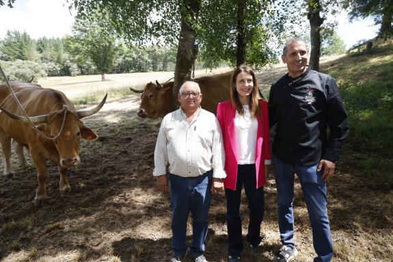 Imagen de la noticia:La consellería do Medio Rural pone en valor la calidad de la carne de la IGP Vaca Gallega-Buey Gallego