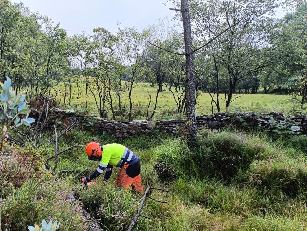 Imagen 1 de 2 asociada a la noticia