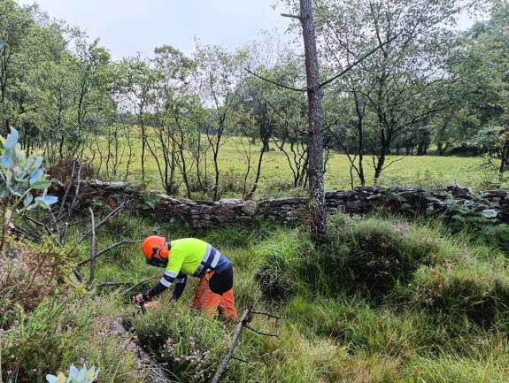 Imaxe da nova:A Xunta realiza labores de conservación en varios tramos fluviais que suman 4,7 quilómetros no concello de Viveiro