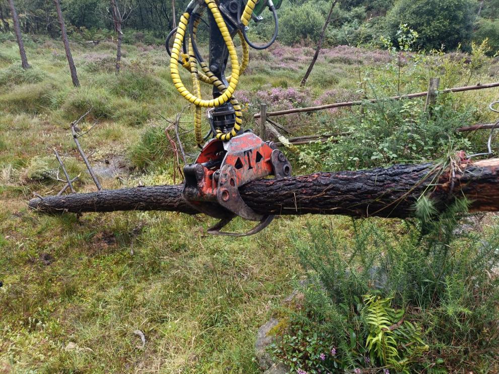 Imagen 2 de 2 asociada a la noticia