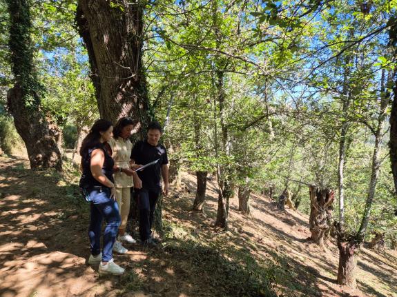 Imagen de la noticia:La Xunta invierte cerca de 400.000 euros en O Courel para la recuperación de 45 héctareas de bosques, algunas de ellas afect...