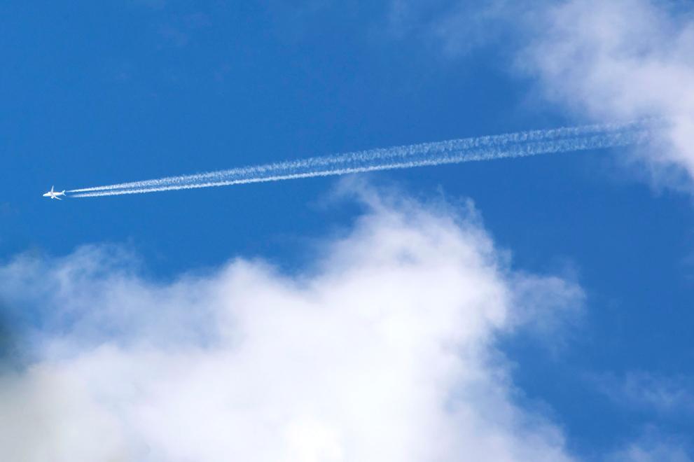 Imaxe 1 de 1 asociada á nova