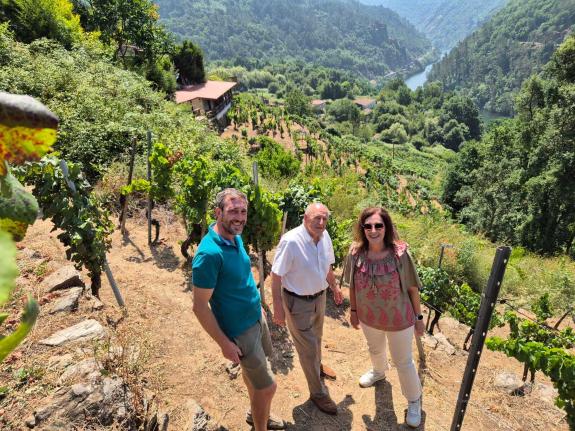 Imagen de la noticia:Medio Rural pone en valor las aportaciones de más de 1,3 M€ para el sector vitivinícola de la Ribeira Sacra