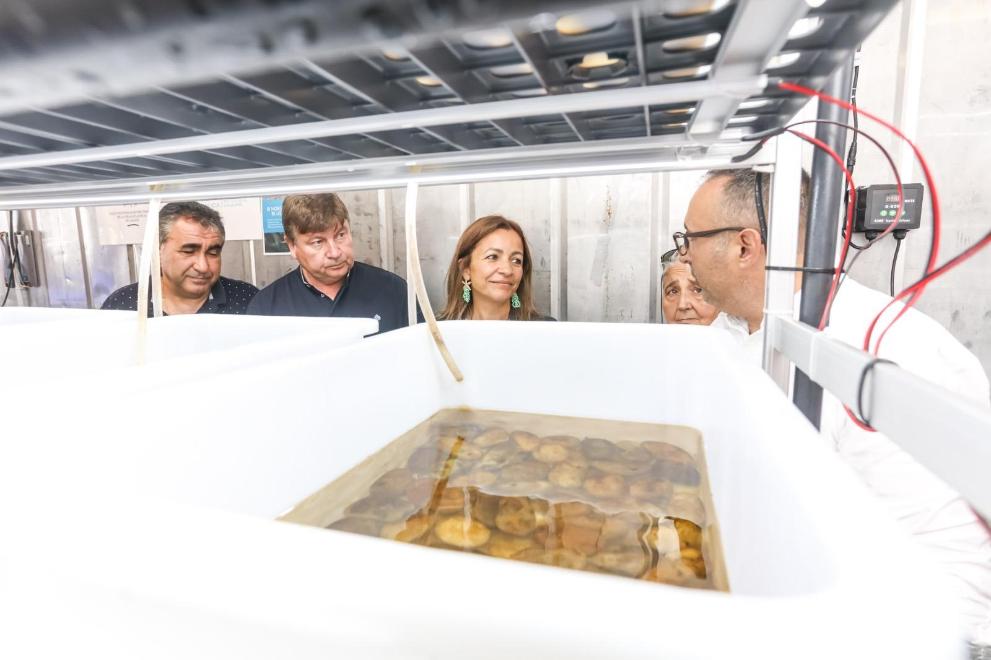 Imaxe 3 de 5 asociada á nova