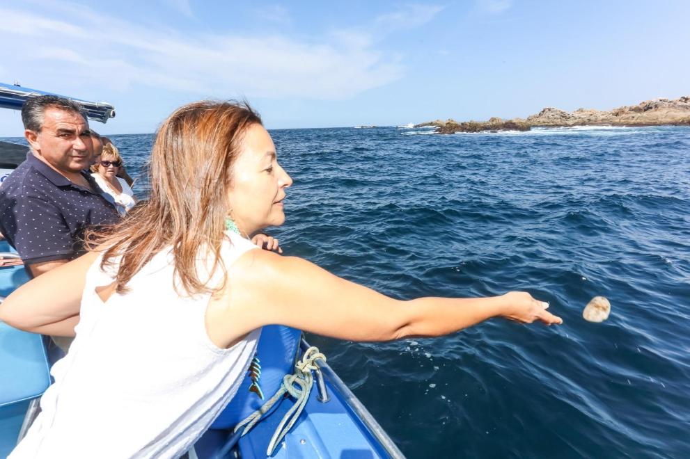 Imaxe 5 de 5 asociada á nova