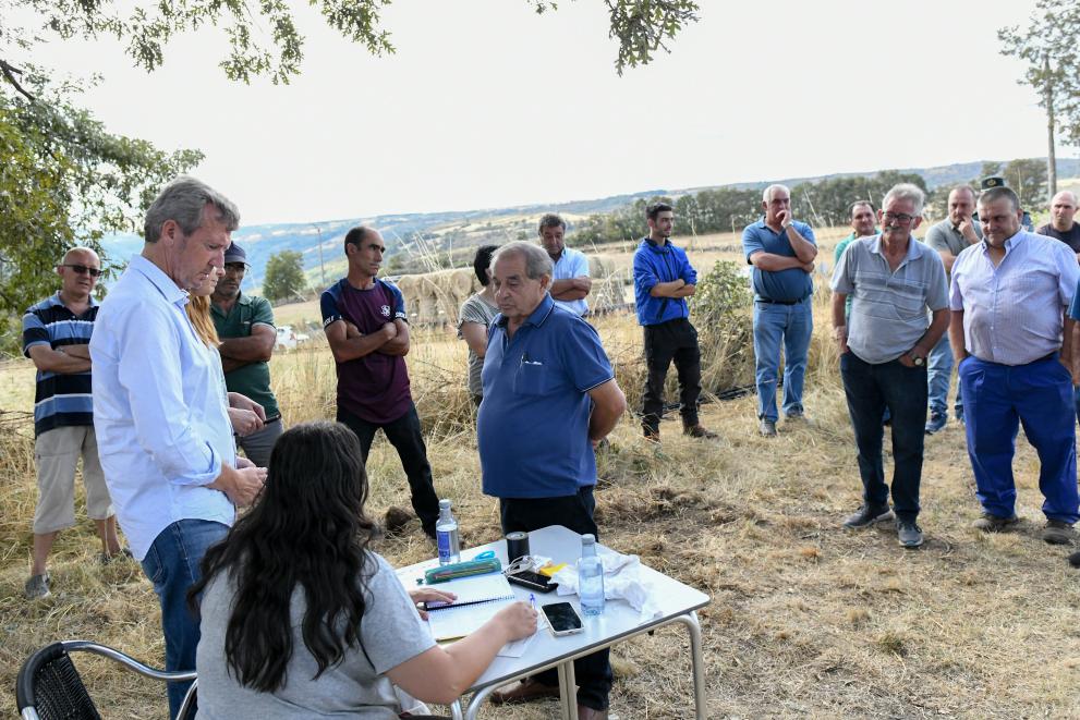 Imaxe 5 de 11 asociada á nova