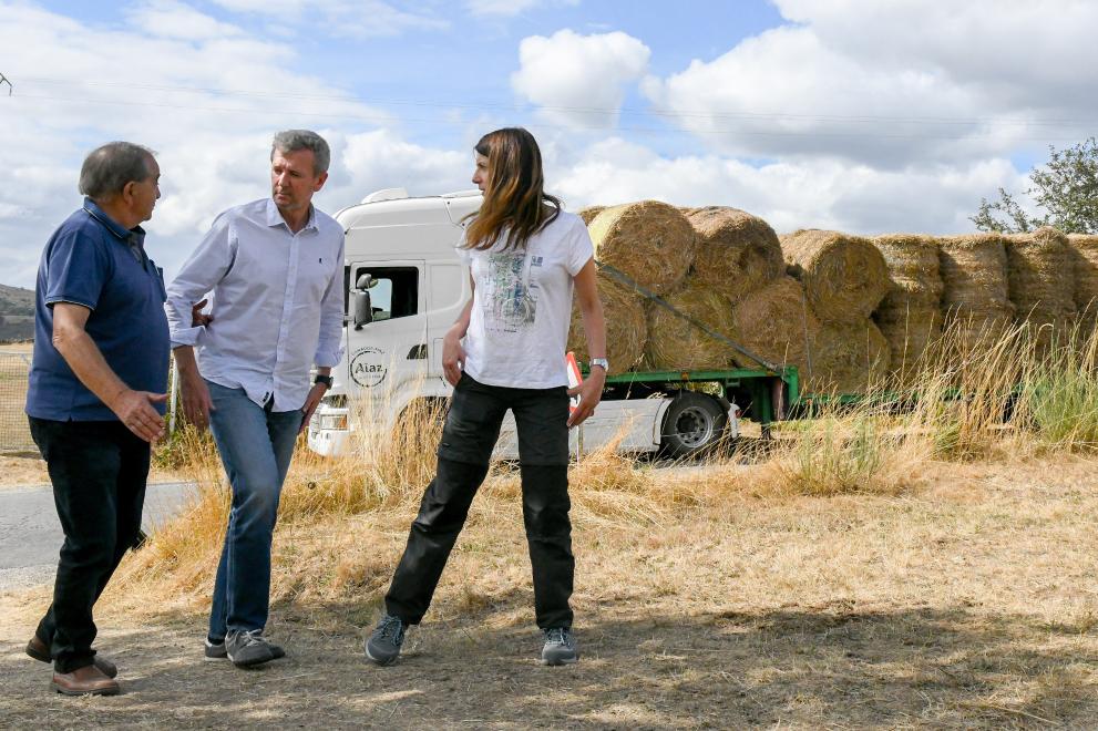 Imaxe 4 de 11 asociada á nova