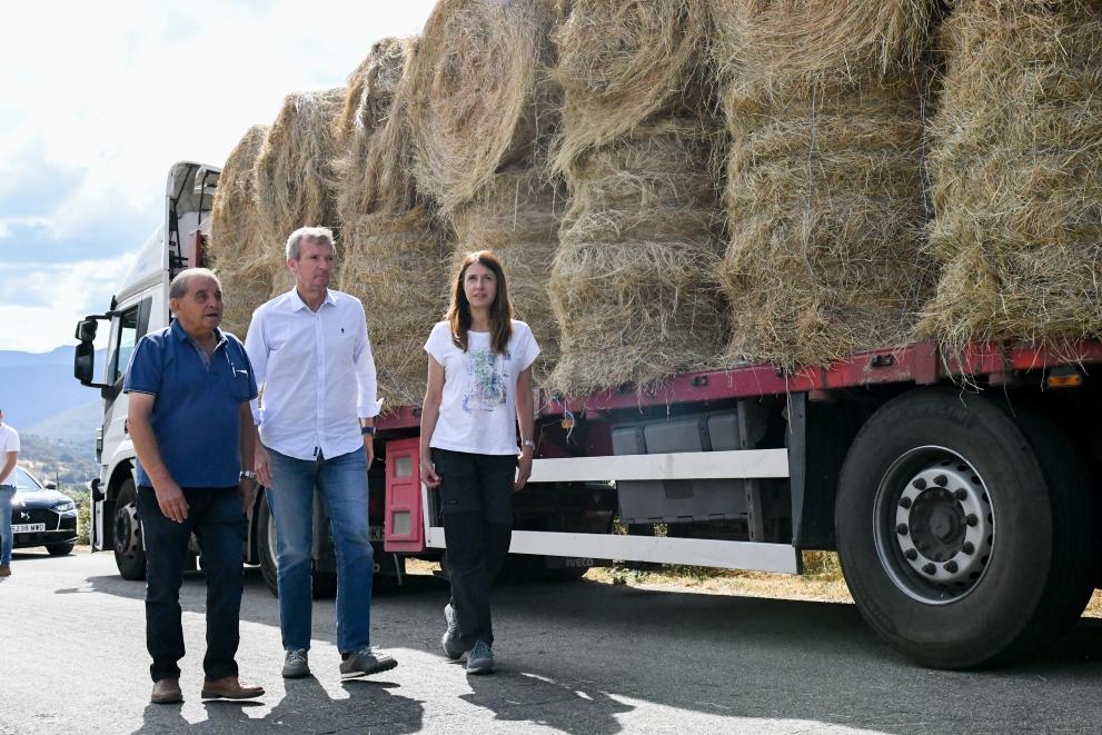 Imaxe 3 de 11 asociada á nova