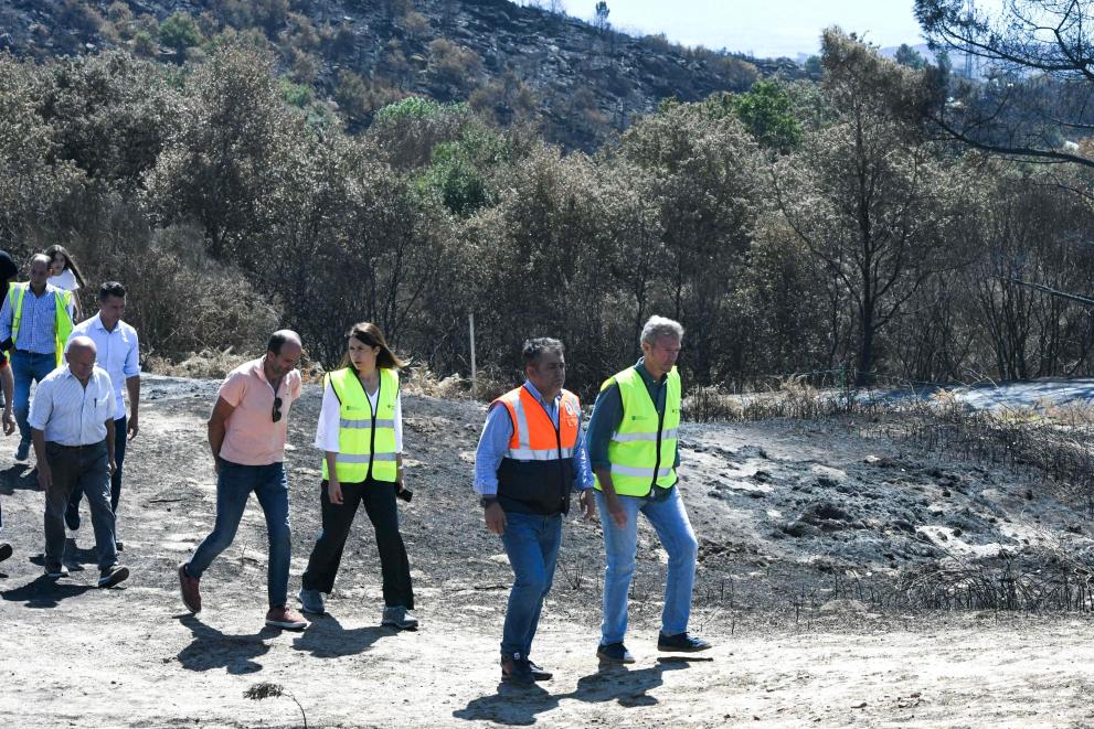 Imagen 5 de 14 asociada a la noticia