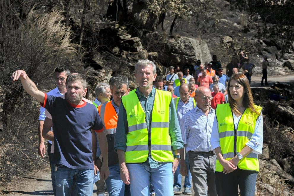 Imagen 11 de 14 asociada a la noticia