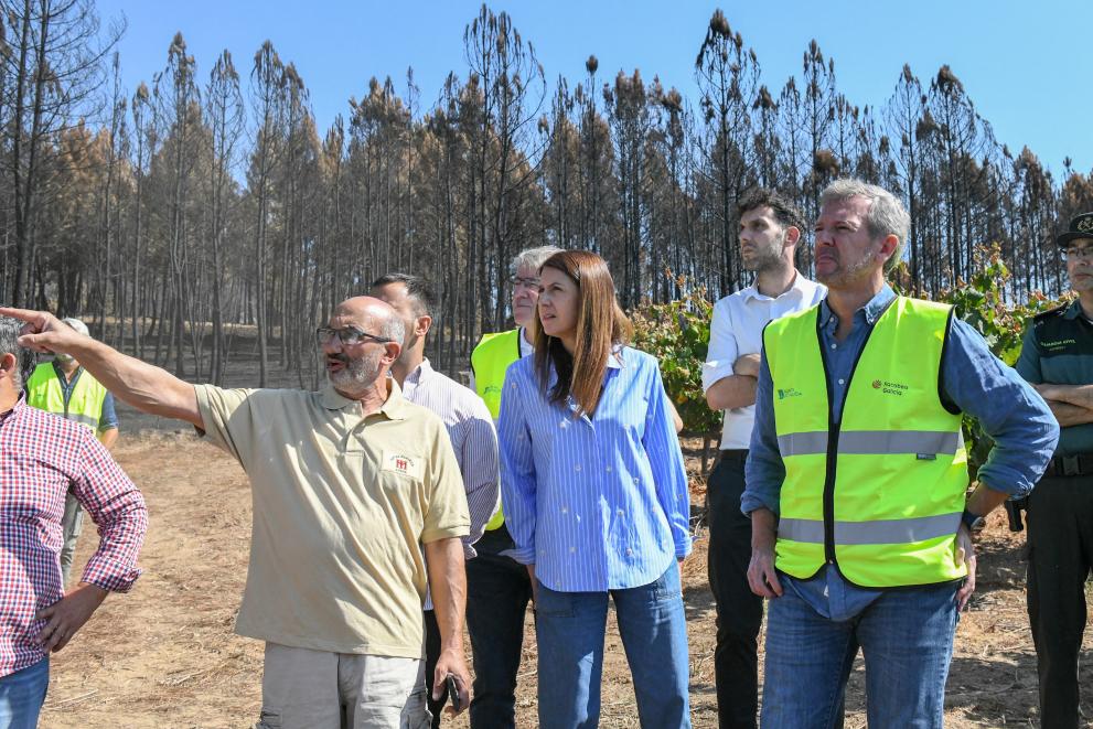 Imagen 2 de 6 asociada a la noticia