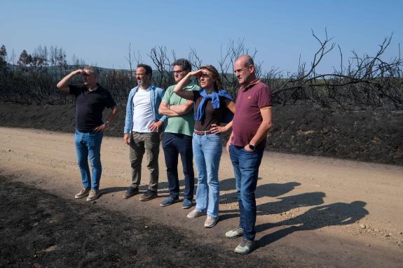 Imaxe da nova:A Xunta anuncia axudas económicas para recuperar terreos e hábitats cinexéticos e infraestruturas de uso público danados polos ince...